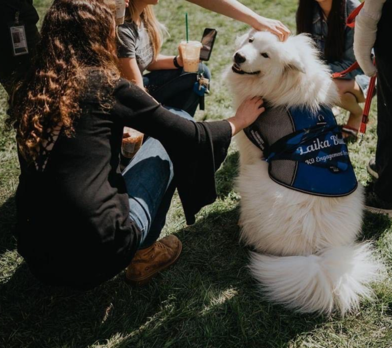 A group of people petting Laika Blue at Yale Health event.