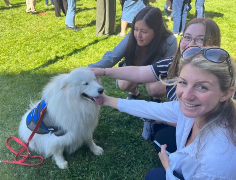 People petting Laika Blue at Yale Health event